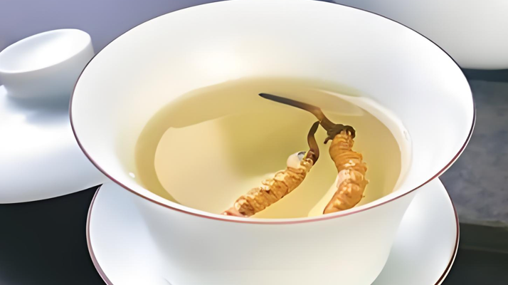 鮮冬蟲夏草可以煮水喝嗎？有什么功效和作用？